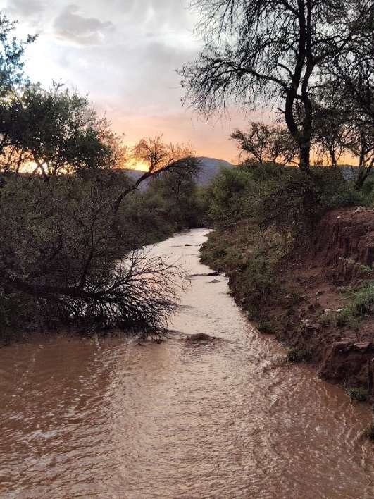 Wasserführendes Revier auf Krumhuk