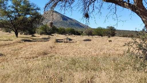 Blick auf die Schildkröte